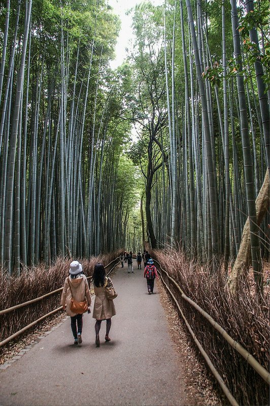 嵐山竹林小徑 2