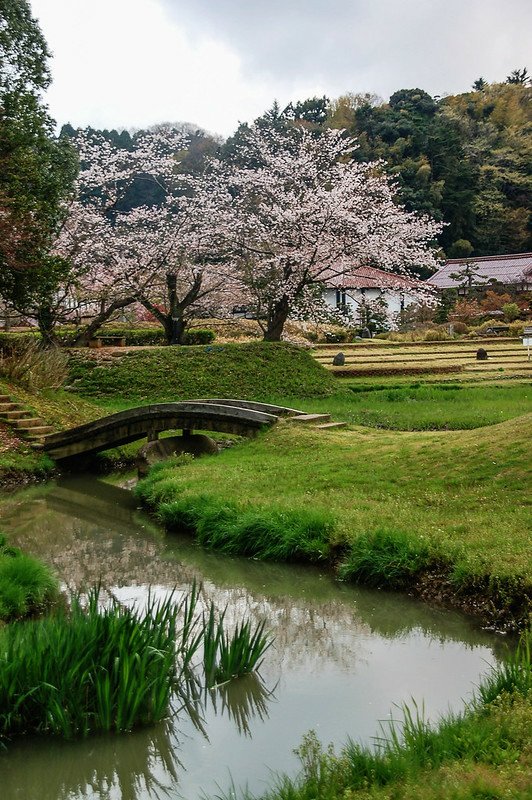 石川縣九谷燒美術館庭園 (11)