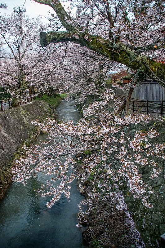 石川縣九谷燒美術館庭園 (54)