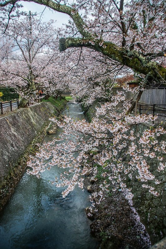 石川縣九谷燒美術館庭園 (41)