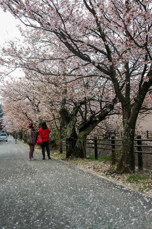 石川縣九谷燒美術館庭園 (55)