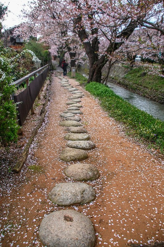 石川縣九谷燒美術館庭園 (33)