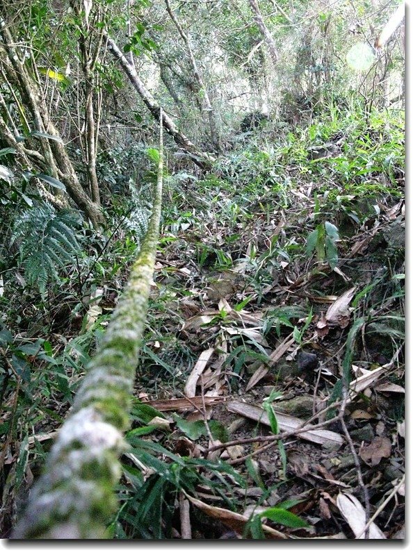 茅山登山小徑