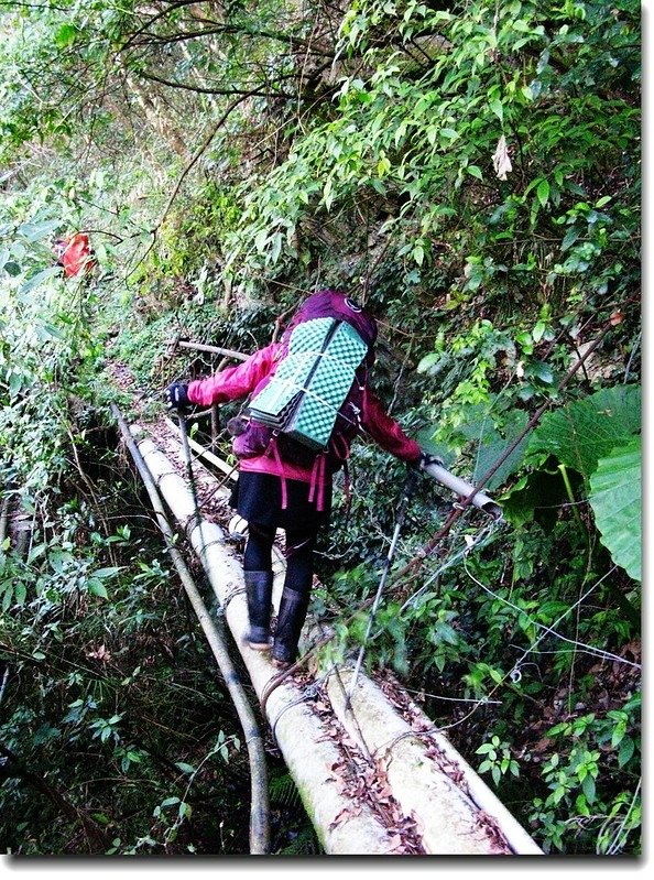 小水圳步道大塑膠管跨橋