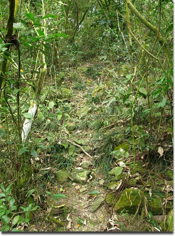 庵婆加山登山路徑 1