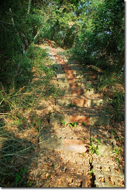 梅島山登山步道 1