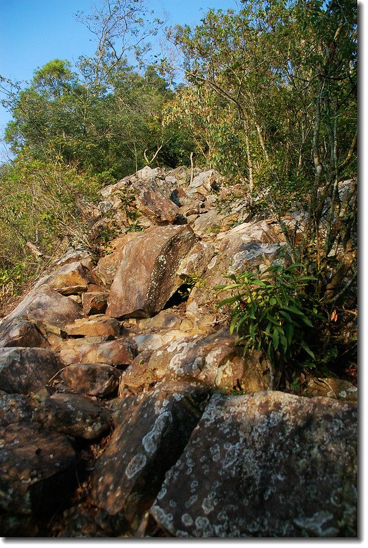 梅島山登山步道 3