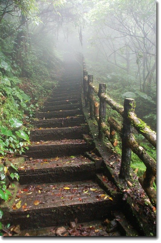 二格山登山步道 2