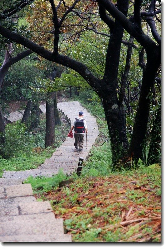 汐止大尖山登山步道 2