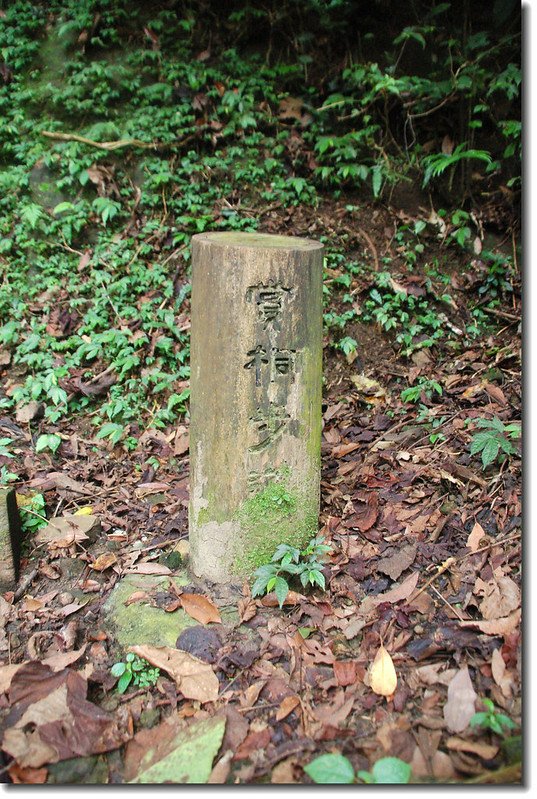 天上山登山步道 2