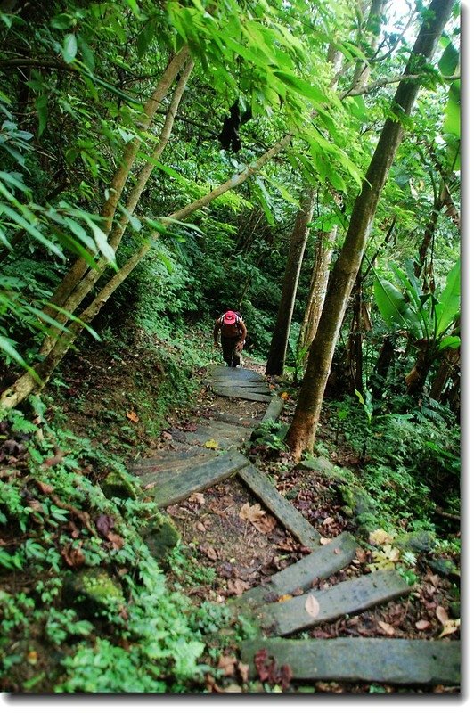 天上山登山步道