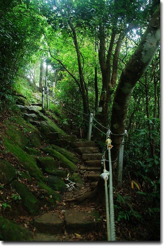 天上山登山步道 1