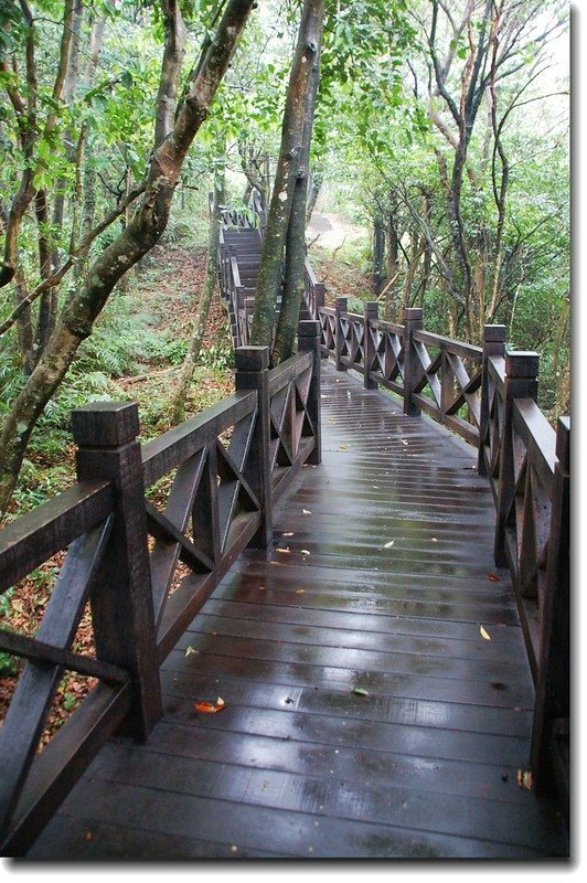 新店獅仔頭山登山步道 1