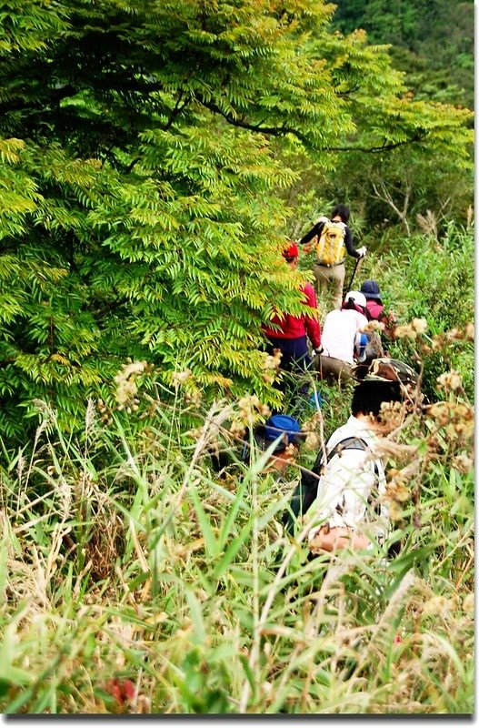 旗鹽登山小徑