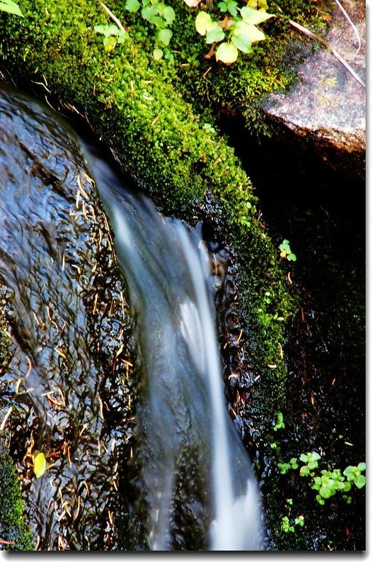 Cascade along the trail 5