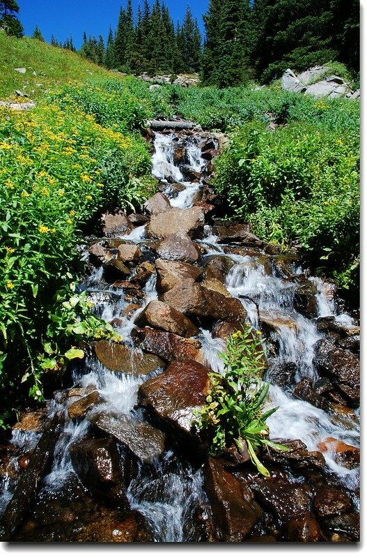 Cascade &amp; wildflower along the trail 2