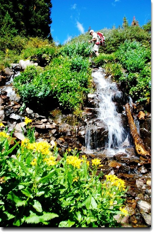 Cascade &amp; wildflower on Lake Isabelle 5