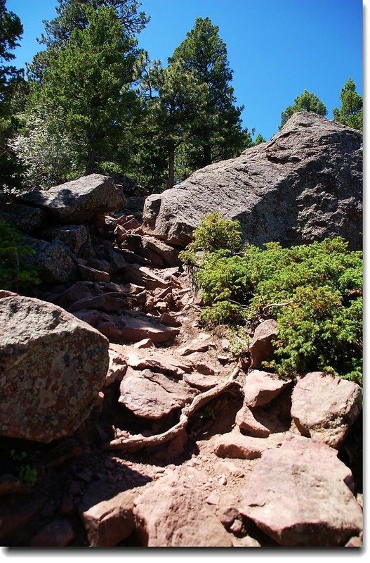 Bear Peak Trail 3