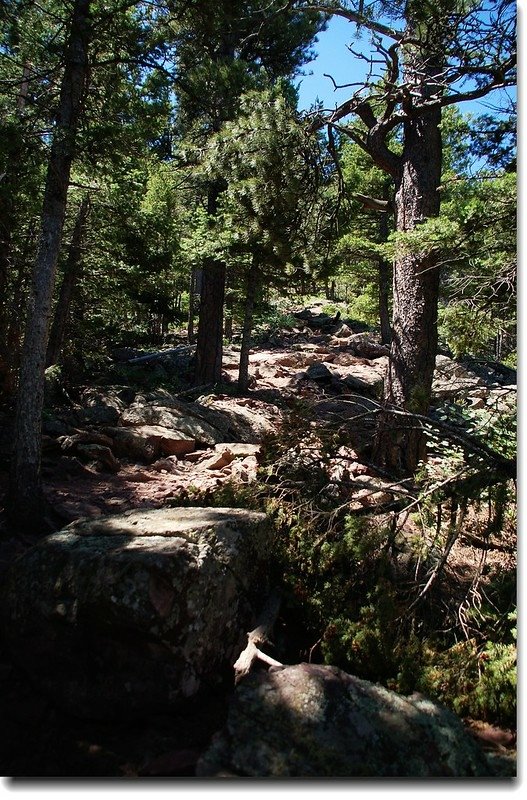 Bear Peak Trail 4