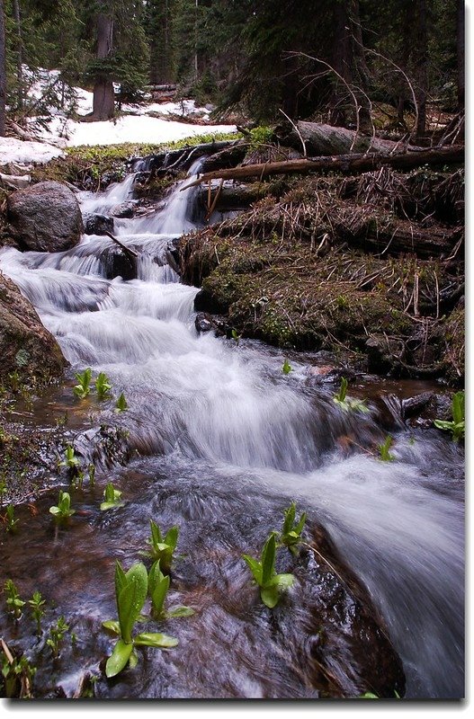 Waterfalls along the trail 4