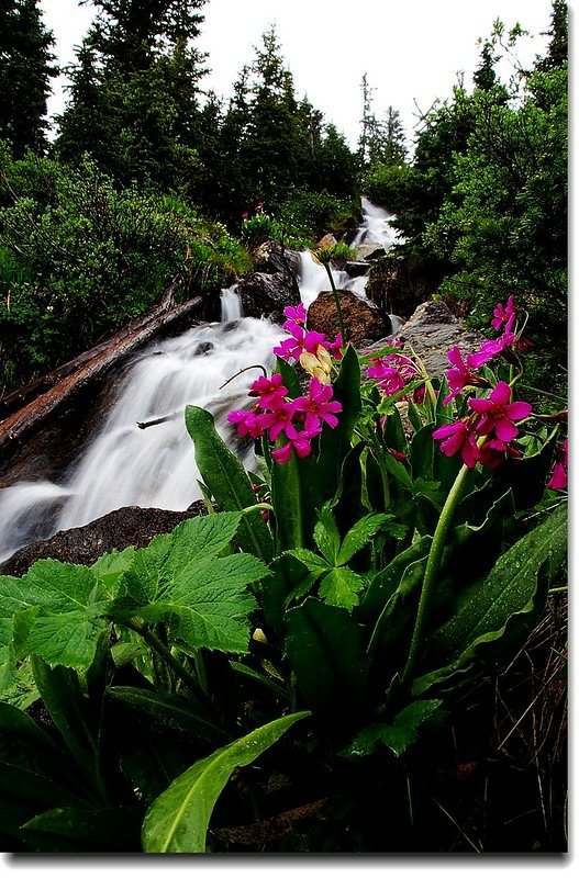 Waterfalls along the trail 7