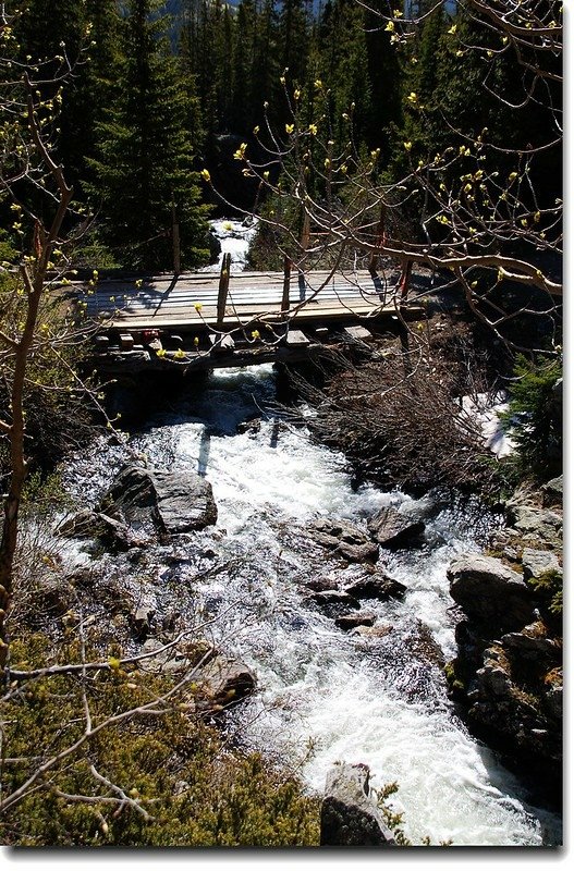 Roaring creek lies down in McCullough Gulch 3