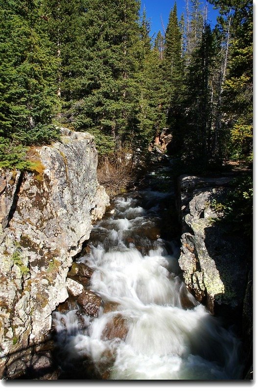 Roaring creek lies down in McCullough Gulch 5