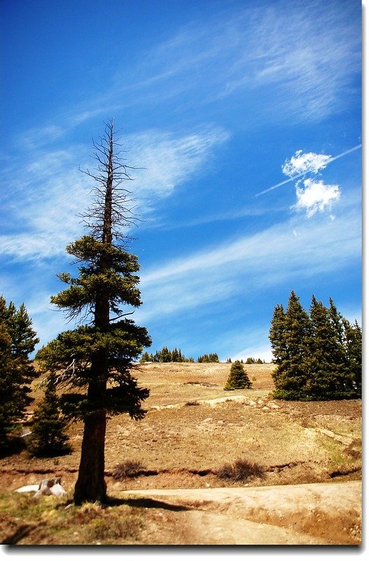 Hoosier Pass Loop Trail