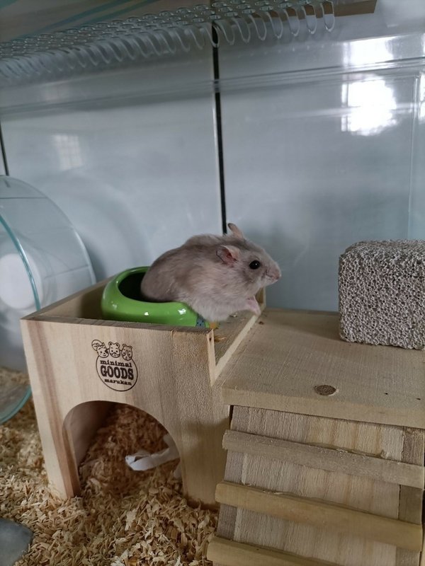 LINE_ALBUM_母鼠紀錄2023_514_230514_5.jpg