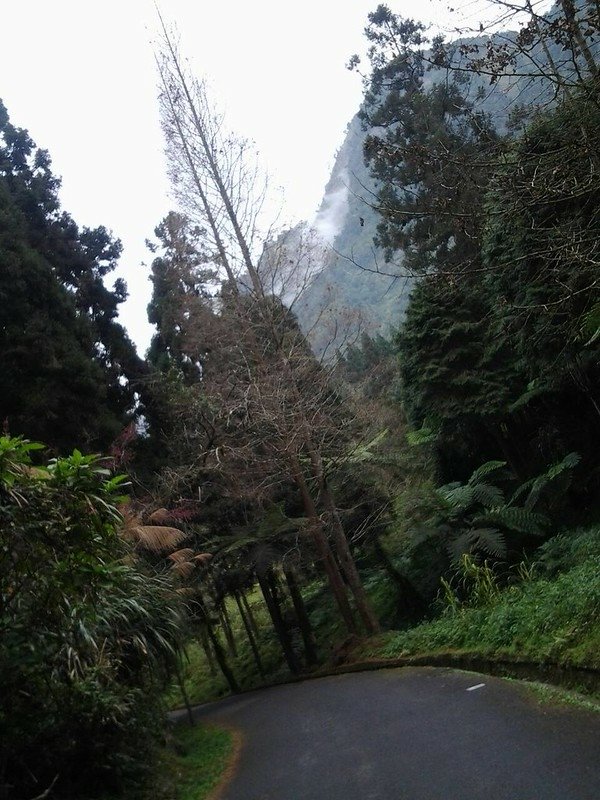 6153這才是令一個山嵐
