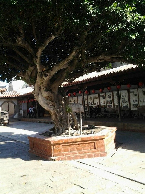 5446龍山寺