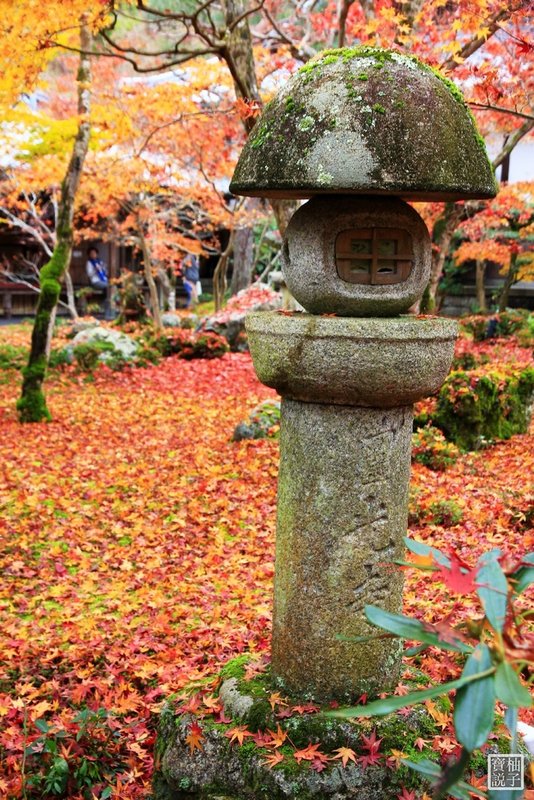 圓光寺_9855.jpg