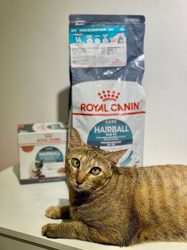 法國皇家 ROYAL CANIN IH34有效化毛乾濕糧｜貓