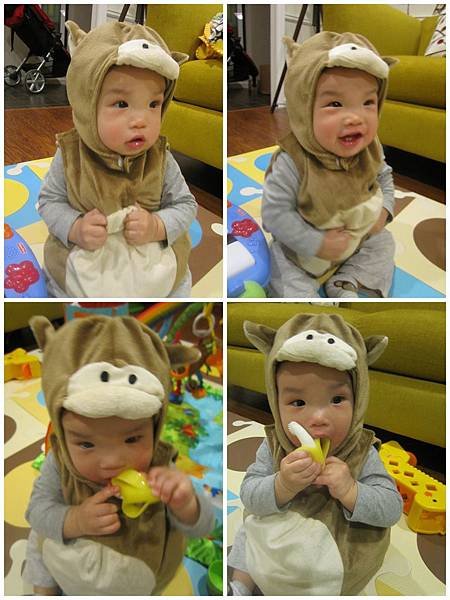 Miso&apos;s First Halloween (2)_1.jpg