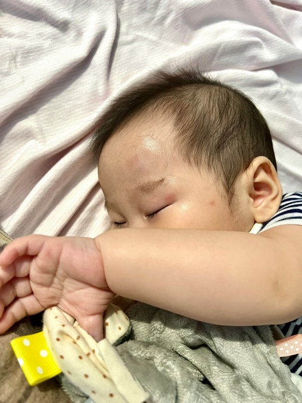 【育兒好物推薦】舒特膚長效潤膚乳&amp;潤膚霜｜全家都在擦的敏弱肌