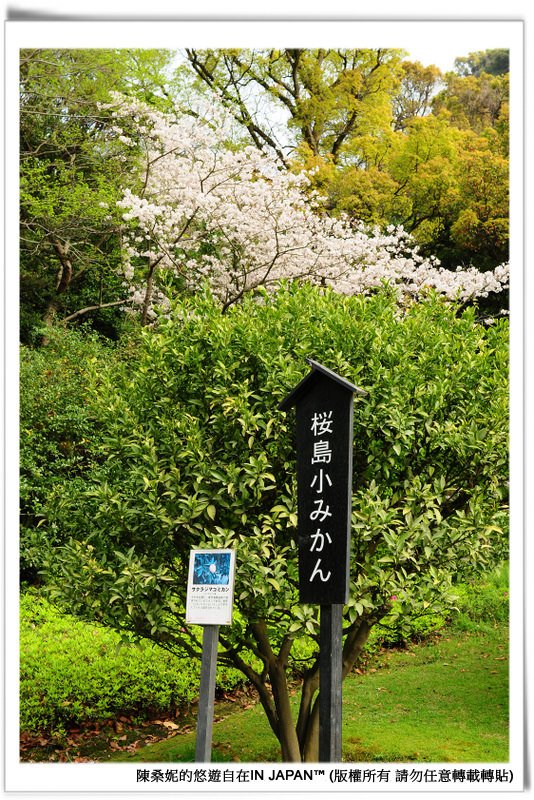 仙巖園-009