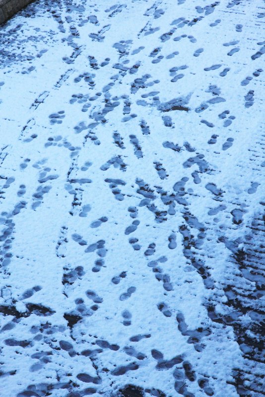 120127_179.JPG