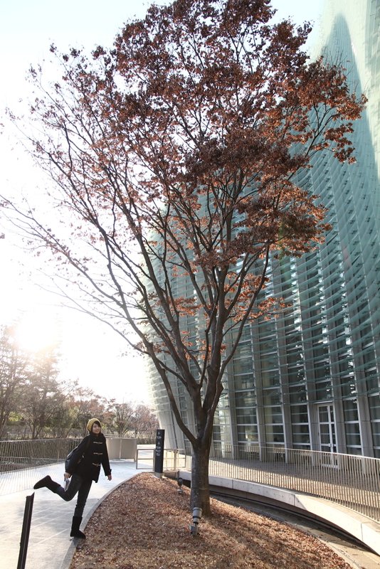 120127_452.JPG