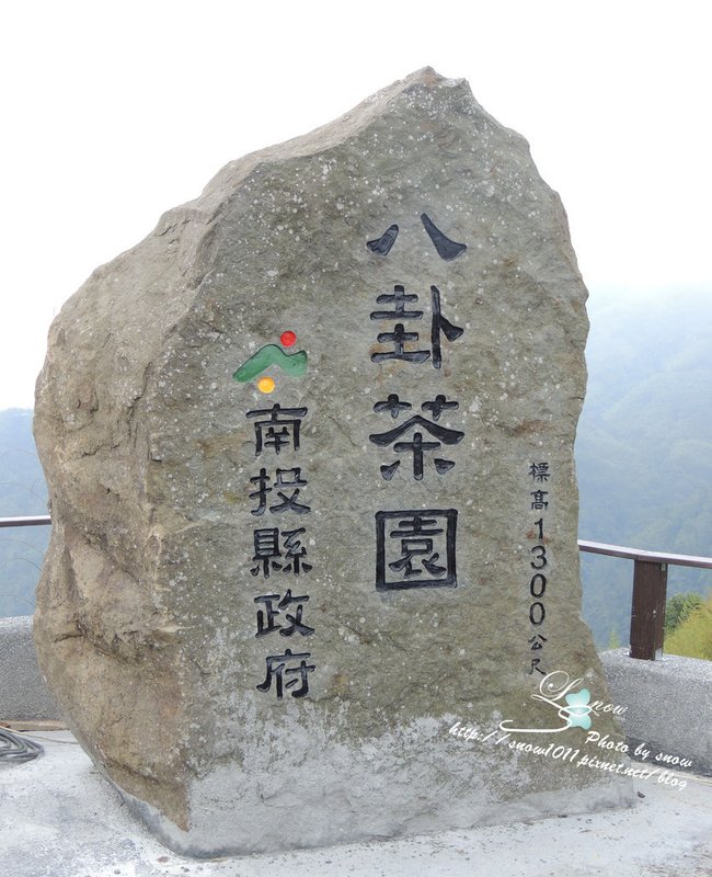 八卦茶園到囉