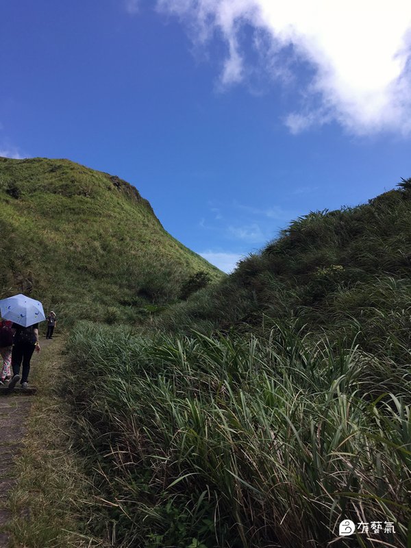 20200815blog-草嶺古道健行 (29).JPG