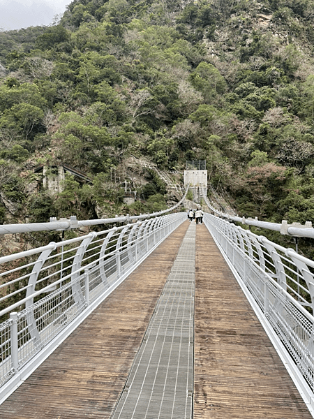 【花蓮景點|太魯閣】布洛灣山月吊橋 免門票 免預約 超熱門太