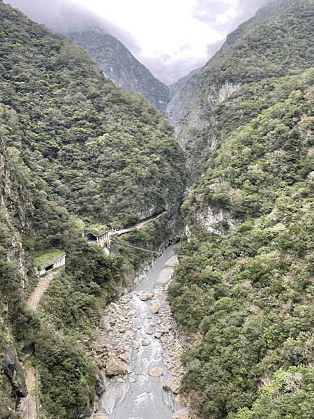 【花蓮景點|太魯閣】布洛灣山月吊橋 免門票 免預約 超熱門太