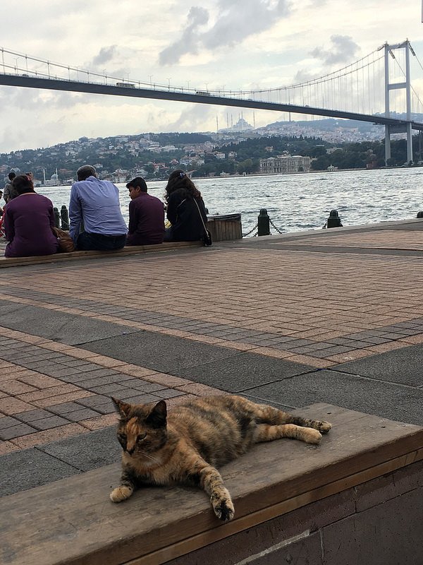 歐塔寇伊(Ortaköy)