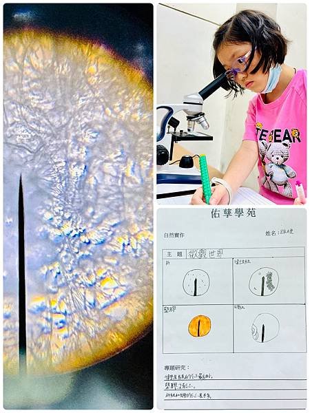 新竹市安親班-自然實作-千變萬化的水(3下自然)