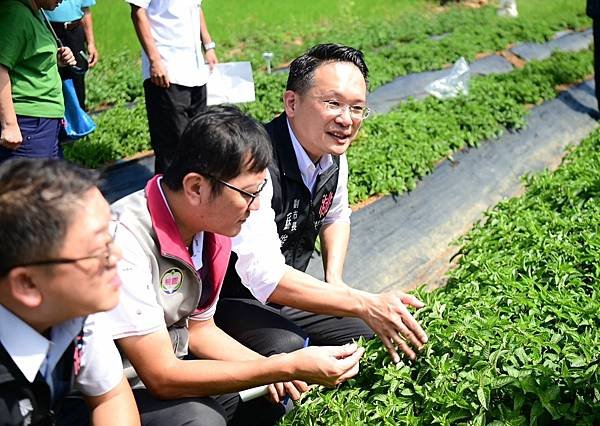 桃園市政府 張善政市長、蘇俊賓、王明鉅副市長、詹榮鋒秘書長：