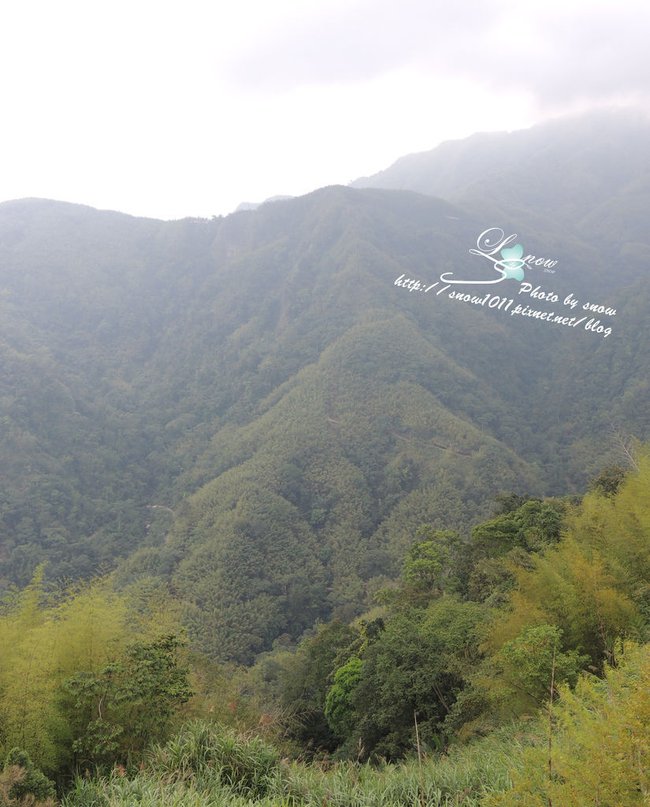 山上風景