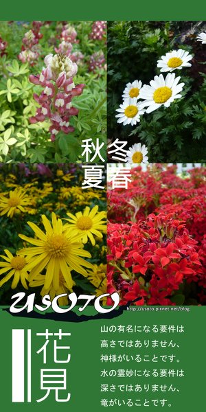 花見.jpg