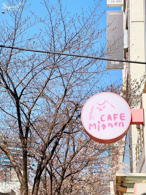 首爾Cafe Mignon咖啡廳6.jpg