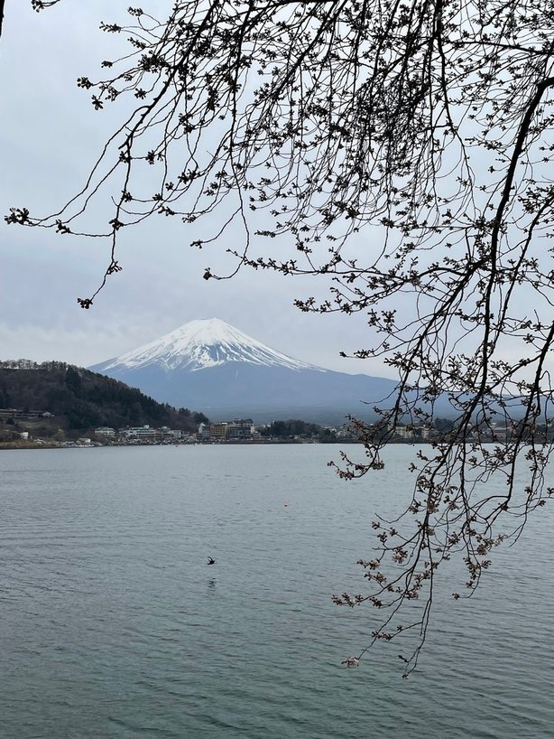 2023東京河口湖| 秀峰閤 湖月，河口湖沿岸最完美的逆富士