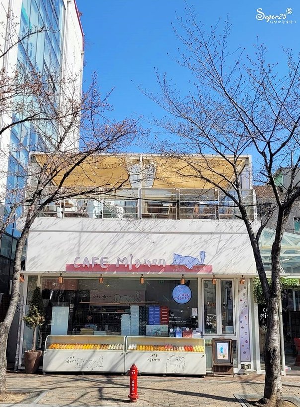 首爾Cafe Mignon咖啡廳3.jpg